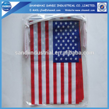 Custpm PVC bunting string flags