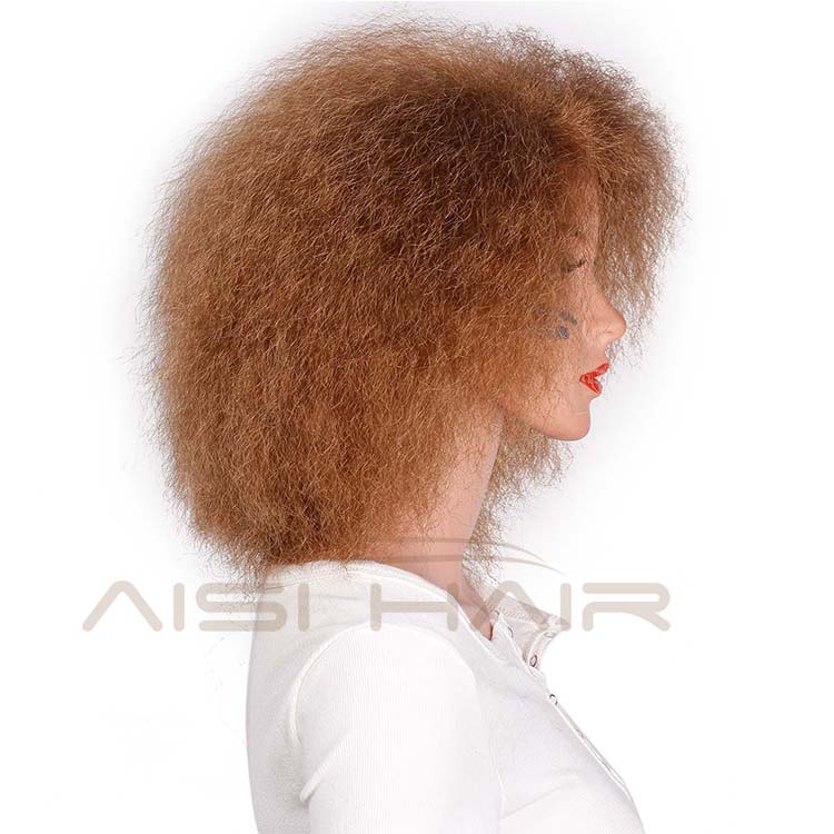 Aisi Hair Synthetic Afro Kinky Curly short Wigs 6inch Brown Color High Temperature Fiber Short Wigs For Women