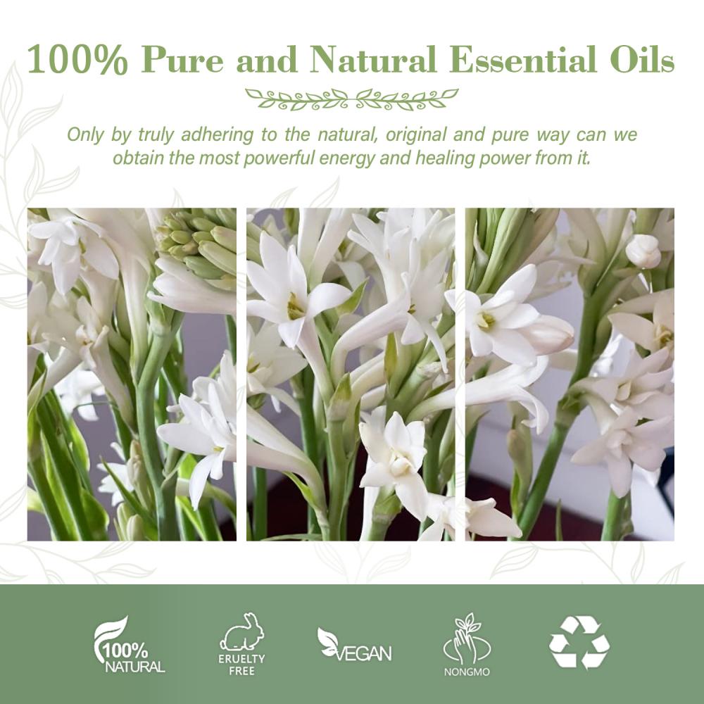 Best Selling Pure Extract Tuberose Absolute Oil for Multi Purpose Uses Oils