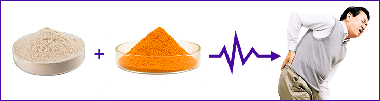 Osteocollagen collagen peptide with curcumin