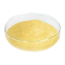 Natural Genista Tinctoria Extract Powder Genistein Powder