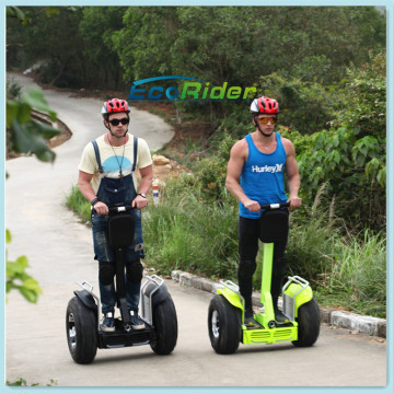 Standing Adult Electric Scooter off Road Mobility Electric Scooter
