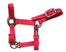 Headstall, Horse Products (HS-08)