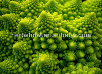 Vegetables Seeds: Green Tower broccoli seeds