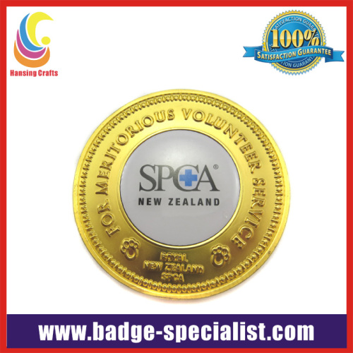 Gold Souvenir Coin, Promotional Coin (HS-MC020)