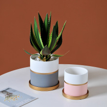 Multicolor Ceramic Flower Pot for Table Decoration