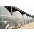 Multi Span Plastic Film Greenhouse Untuk Pertanian