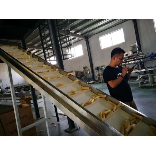 Core Filling Snack Extruder Equipment