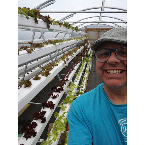 Greenhouse Vertical hydroponic growing systems for lettuce