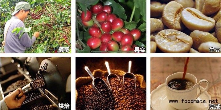 中国のアラビカグリーンコーヒー豆、洗浄、研磨グレードaa 17 up