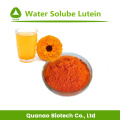 Extracto de flor de caléndula Luteína 5% Polvo Soluble en agua