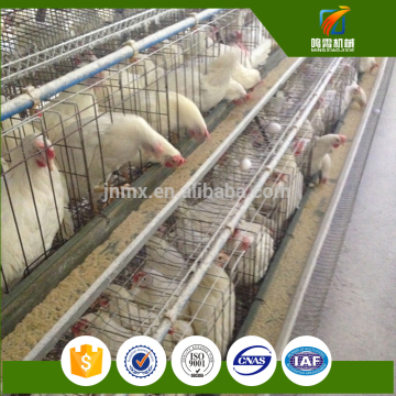 poultry chicken cage for sale in philippines