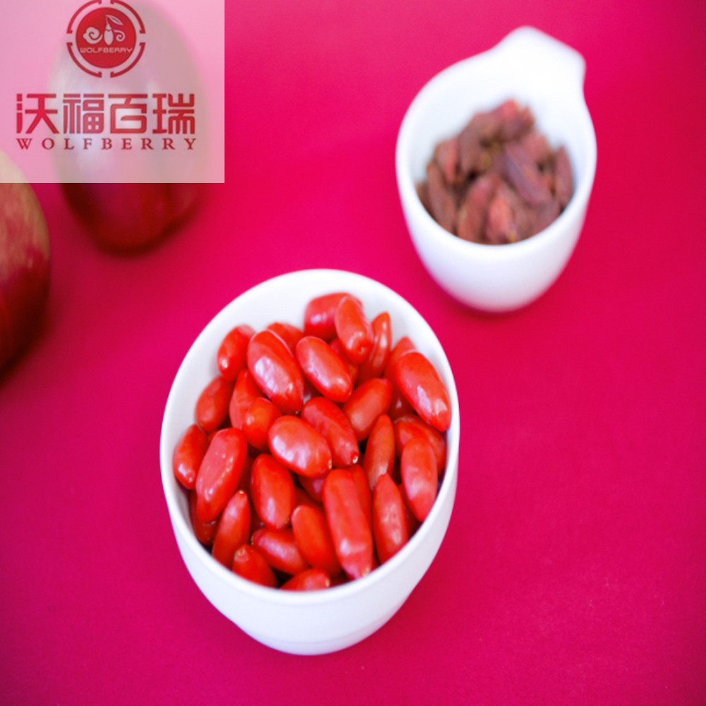 Goji berry / Wolfberry / Hot sale goji bessen