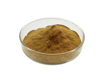 Natural High Quality lucid ganoderma extract