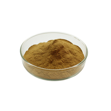 Natural High Quality lucid ganoderma extract