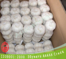 TL-E294 PE extruded Mesh white garlic sacks For vegetables