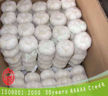 TL-E294 PE extruded Mesh white garlic sacks For vegetables