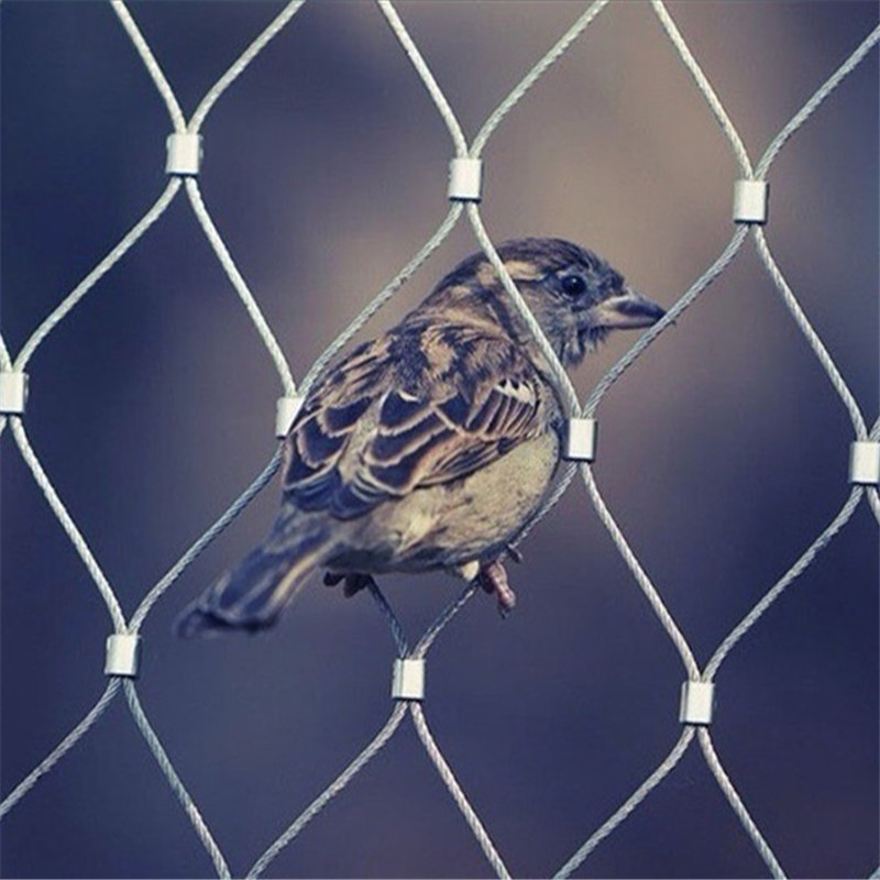 bird enclosure netting stainless steel bird mesh