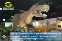 Amusement park animatronic dinosaurs robot ( Tyrannosaurus rex)