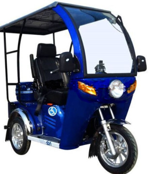 Three Wheel Closed Gas Disabled Passenger Handicapped Scooter for Sale (SY110ZK-F)