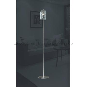 2012 Hot Model Promotion Price Practical Fancy Modern Glass Floor Lamp