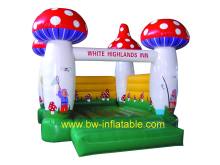 Bouncy Castles Inflatables