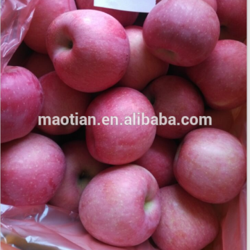 Rosy Blush fuji apple big sizes- hot sale