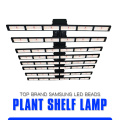 Grow Light 1000W Garden 2020