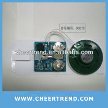 recordable voice module/recordable voice chip