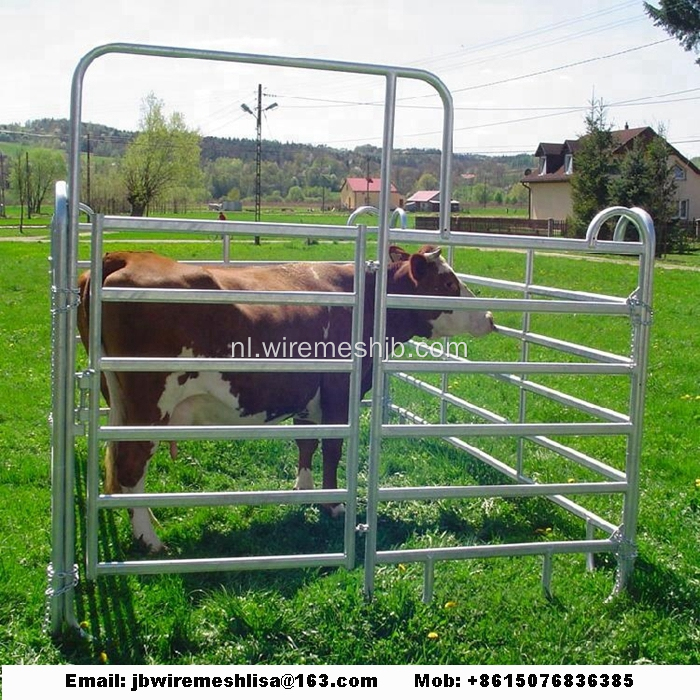 Gegalvaniseerde paardenomheining / runderhek / stalhek