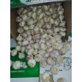 best way to peel fresh garlic