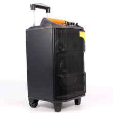 12 inch Standard Trolley speaker box with Microphone