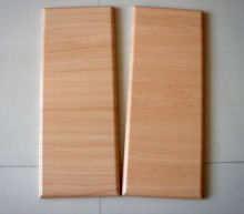 Cabinet Door 20091 (DFWCD12)