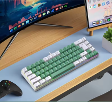 Hot 60% Mini RGB Gaming Keyboard with 68 Keys, Anti-Ghosting Wired & Bluetooth, Green Switches and IPS Display - Perfect for Kids