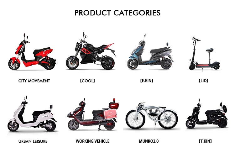 Adult Electric Motorbike Electric Motorcycle in Electric Scooters with New Design