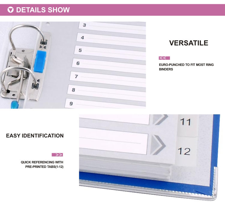 Comix High Quality PP Plastic A4 12 Tabs File Index Divider / Index Cards Tab Dividers