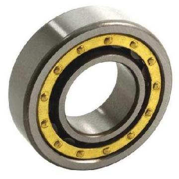 Cylindrical Roller Bearing NU 311 M NU 311 EM 55x120x29