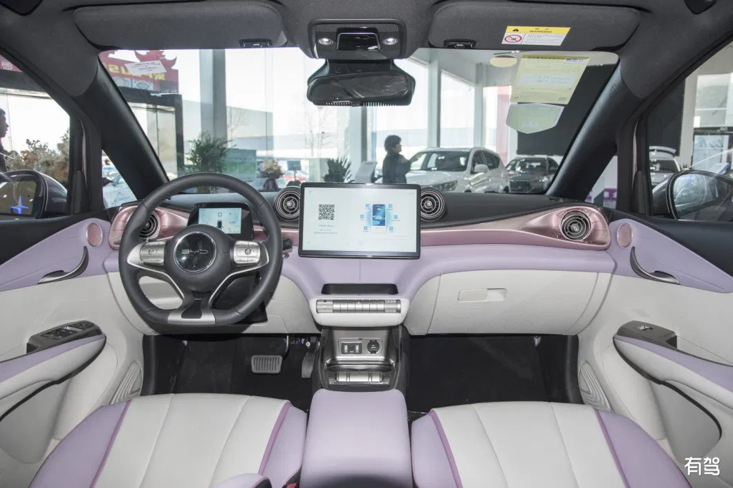 New Energy Electric Sedan Car Dolphin 2021 Version EV Car Left Hand Drive Electric Vehicle Electric Car