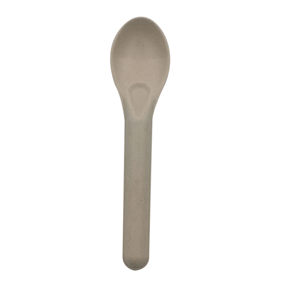 bagasse spoon