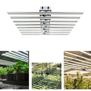 Nueva barra de luz de cultivo LED 480W 640W 800W