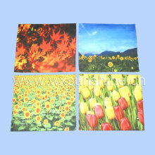 Optical Sude Cleaning Cloth (SL-020)