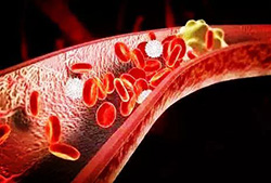 Full Coenzymes Series NAD NR NADH NMN Power 99% NMN Food Grade