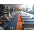 Gym PVC dan lantai ruang kebugaran