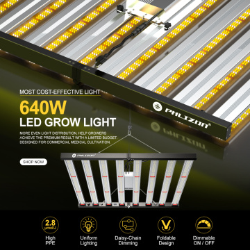 Luces de cultivo para plantas interiores 640W