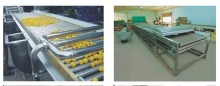 Citrus Fruits Sorting/Grading Machine for Pre-Treating
