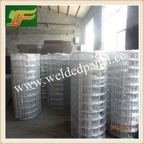 Cheap Rabbit Cage/Welded Rabbit Cage Wire Mesh (Anping Yunfei Factory )