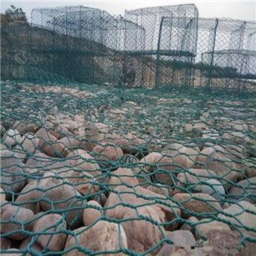 gabion basket/gabion wire mesh for protecting dam