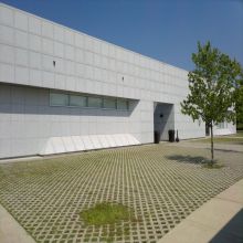 Fantasy light grey granite flooring paving tile