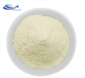 Hot sale ginseng extract ginseng powder