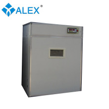 Cheap Price Cheap Parrots Fertile Bird Eggs High-performance Search Engine